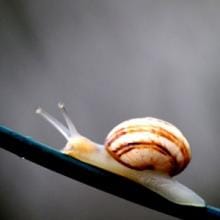 Slow Metabolism? I Thin(k) Not!